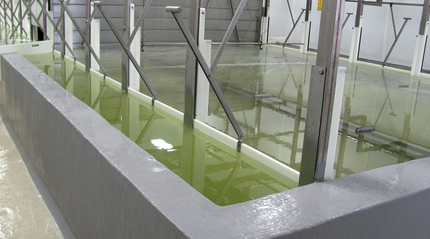 Indoor algae cultivation system featuring a rectangular tank with green water, surrounded by metal supports and a clean floor, designed for efficient growth and harvesting of algae for various applications.